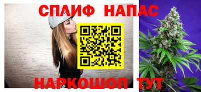 прущие грибы Донской