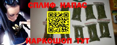 гидра Дубна