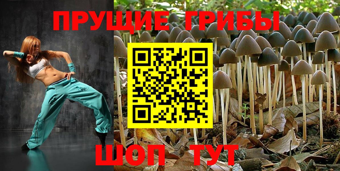 Псилоцибиновые грибы ЛСД Новозыбков
