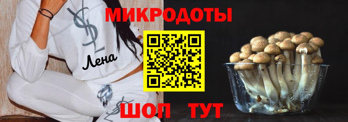 Новозыбков  Псилоцибиновые грибы GOLDEN TEACHER  Вход с VPN  Псилоцибиновые грибы MAGIC MUSHROOMS 