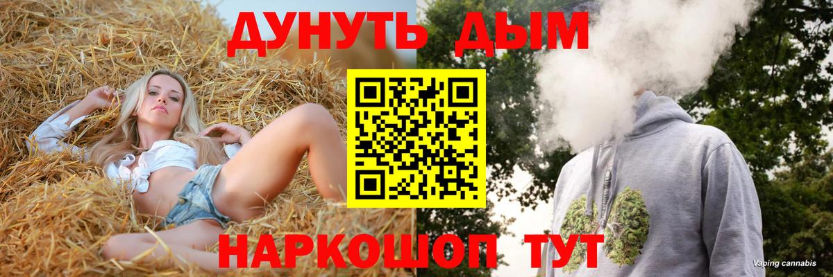 Канабис сатива  Бошки марихуана планчик  Марихуана семена  Вход с VPN  Бошки марихуана AK-47  Новозыбков 